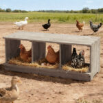 Nesting Boxes for Chickens, Wooden Chicken Nesting Box, Laying Eggs Nest Box for Chickens Hens Ducks, Gray, 3 Compartments - Image 6