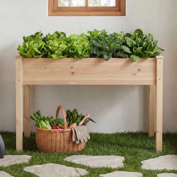 Raised Garden Bed - Cedar Planter with Non-Woven Liner, Bottom Drainage, 30-Inch Height, 48 x 24 x 30 in Sizes for Outdoor Plants Wood (Shipment from Walmart)