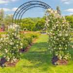 134*59*213cm Double Layer Iron Art Arc Top Iron Arch Black - Image 13