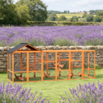 Chicken Coop - Image 7