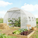Greenhouse - Image 7