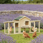 Chicken Coop - Image 7