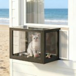 Catio - Image 4