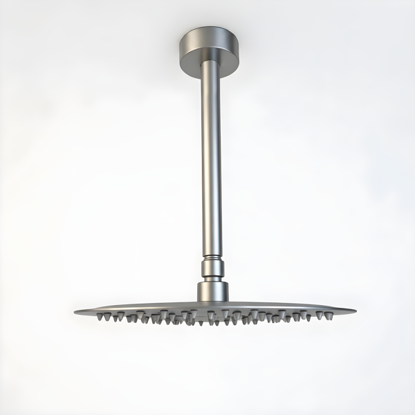 10" Brushed Nickel Bathroom Luxury shower head,High Pressure Rain Shower Head, Ultra-Thin Showerhead 304 Stainless Steel