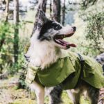 Dog Car Seat - Image 13