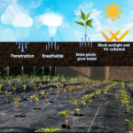 XISHAN 3'X300' Black HDPE 70 Gram Weed Barrier Fabric - Image 6