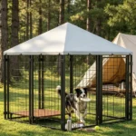 Dog House - Image 6