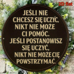 CIFbuy 1pc 8x8 Inch Round French Aluminum Sign, Vintage Inspirational Learning Quote Plaque, 2D Flat Decorative Wall Art For Study Room TikTok, TikTok, ing Self-pickup Logiopics - Image 6