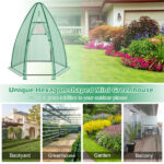 Hexagonal Mini Greenhouse with Zipper Door & Roll-Up Window, PE Cover Outdoor Plant House - Image 4