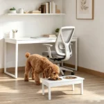 Elevated Dog Bowls - Image 5