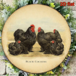 CIFbuy 1pc Black Cochin Chicken Vintage Decorative Sign 8x, "" Cochin Chicken Vintage, Vintage Decorative Sign 8x8in 2D Flat Round Plaque TikTok, Temu Self-pickup Logiaqics - Image 5
