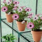 143x143x195cm Black Iron Pipe Steeple With 8 Pieces Grid Flower Stand With Zipper Rolling Door PE Cloth Greenhouse SAME AS 54690859 - Image 9