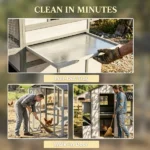 Chicken Coop - Image 4