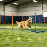 Jump Bars - Image 4