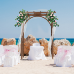 [Same Code 43529880]Beautiful And Practical Garden Arch Dark Brown - Image 28