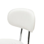 Round Shape Adjustable Salon Stool with Back and Line White - Image 3