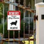 CIFbuy Cavalier King Charles Warning On Patrol 2D Flat" Metal Tin Sign, 8x12In Waterproof Rustproof Vintage Metal Plaque, Waterproof Rustproof Vintage Metal Plaque, Unframed Indoo 2D FlikTok, 2D FlikTok, t Self-pickup Logiopics - Image 2