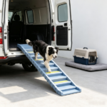 Gray Portable Dog Ramp – Foldable Stairs for Medium Small Dogs to Get on Car Truck SUV - Image 4