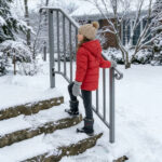 Silver Outdoor 3-Step Iron Handrail - Image 9