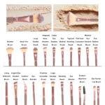 25pcs Makeup Brush Concealer Blush Foundation Eyeshadow Make Up Brush Makeup tools Prink (US Logistics only For USPS.TK/TMEU only For self-pickup) - Image 3