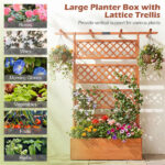 72" Raised Garden Bed with Lattice Trellis, 4.8 Cu.Ft Fir Wood Planter Box with Drainage Holes for Climbing Plants Vegetables - Orange - Image 7