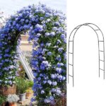 198.5*50*219cm Courtyard Arc Top With Door With Planting Frame Iron Art Iron Arch Black - Image 23