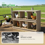 Nesting Boxes for Chickens, Wooden Chicken Nesting Box, Laying Eggs Nest Box for Chickens Hens Ducks, Gray, 6 Compartments - Image 10
