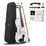 Do Not Sell on AmazonFull Size 4/4 Violin Set for Adults Beginners Students with Hard Case,Violin Bow,Shoulder Rest,Rosin,Extra Strings and Sordine