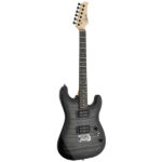 [Do Not Sell on Amazon] GST Stylish H-H Pickup Tiger Stripe Electric Guitar Kit with 20W AMP Bag Guitar Strap Black - Image 28