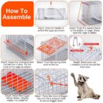 Heavy-Duty Live Animal Trap - 37x14x15 Inch Galvanized Mesh, Sensitive Pedal Trigger & Rear Release Door, Guarded Handle, Foldable Design for Raccoons, Armadillos, Small Dogs Under 55 lbs - Image 4