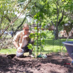 2 Packs Garden Obelisk Trellis 5.9FT Plants Tower for Climbing Plants Flower Vegetable Vine Support Rustproof Garden Plant Trellis Black(No shipments on weekends) - Image 7
