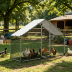 Chicken Coop - Image 5