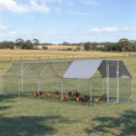 Chicken Coop - Image 5