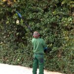 2-in-1 Electric Pruning Shear with Pole - 850W Brushless Motor, 200min Run Time, 4.5-6.3ft Extension for Perfect for Hedges, Trees, and Gardens - Image 10