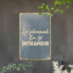 CIFbuy Vintage Turkish Quote Metal Sign, Iyi İNTİKAMDIR Retro Plaque, Gray Frosted Aged Frame 2D Flat Wall Art, 2D Flat Wall Art, Home Dec ikTok, ikTok, rosted Aged Frame 2D Flat Wall Art Self-yickup LogiopDece, Gray Frosted - Image 5