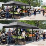 10'x20' Instant Pop Up Canopy Tent Black, 6 Panels 2 Doors 4 Mesh Windows, 28/22mm Powder Coated Steel Frame, 10x20mm Crossbar, 210D Oxford Folding Outdoor Tent with Carry Bag No Sandbags - Image 37