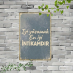 CIFbuy Vintage Turkish Quote Metal Sign, Iyi İNTİKAMDIR Retro Plaque, Gray Frosted Aged Frame 2D Flat Wall Art, 2D Flat Wall Art, Home Dec ikTok, ikTok, rosted Aged Frame 2D Flat Wall Art Self-yickup LogiopDece, Gray Frosted