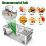 2 pcs Dual-Door Humane Rat Trap - Continuous Mouse Catching, Heavy-Duty Galvanized Iron Construction - Safe for Pets & Kids, Indoor/Outdoor Use, 3S Quick Setup - Image 3