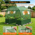 80"×79" All-Weather Walk-in Greenhouse, Heavy Duty Galvanized Metal Frame Tear-Proof PE Cover Outdoor Plant Hot House with 4 Mesh Vent Windows Wind Ropes Ground Stakes for Vegetables Flowers Fruits Growing - Image 9