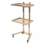 Gold 2 Tier Beauty Salon SPA Rolling Cart w/Double Storage Tray Stainless Steel - Image 2