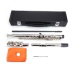 Nickel Plated C Closed Hole Concert Band Flute Silver