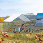 10 x 10 ft Large Metal Chicken Coop, Walk-in Poultry Cage Chicken Hen Run House with Waterproof Cover, Rabbits Cats Dogs Farm Pen for Outdoor Backyard Farm Garden SAME AS09877689 - Image 9