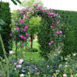 7'8" H x 4'5" W Metal Garden Arch Trellis,Adjustable Arbor Trellis for Garden Climbing Plants Support - Image 11