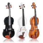 Do Not Sell on Amazon GV103 4/4 Spruce Panel Violin Matte White - Image 37