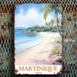 CIFbuy 1pc 8x12 Inch Martinique Tropical Beach Metal Sign, Vintage Retro Tin Plaque Wall Art, 2D Flat Printed Square Iron Decor For Hom TikTok, TikTok, n Plaque Self-pickup Logiopics - Image 3