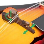 A Style Elegant Mandolin with Guard Board Sunset - Image 21
