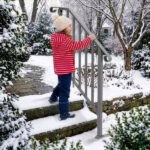 Silver Outdoor 2-Step Iron Handrail - Image 4