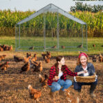 6.5 x 10 ft Large Metal Chicken Coop, Walk-in Poultry Cage Chicken Hen Run House with Waterproof Cover, Rabbits Cats Dogs Farm Pen for Outdoor Backyard Farm Garden SAME AS 61922992 - Image 8