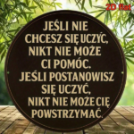 CIFbuy 1pc 8x8 Inch Round French Aluminum Sign, Vintage Inspirational Learning Quote Plaque, 2D Flat Decorative Wall Art For Study Room TikTok, TikTok, ing Self-pickup Logiopics - Image 4