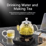 Professional multi-functional glass teapot | 800ml fast heating, cooking and brewing integrated electric kettle with stainless steel filter(UPS/FEDEX/UniUni/GOFO logistics delivery support self-pickup - Image 7